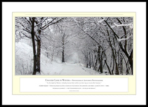 02.01.01.03.A — Landscapes — Country Lane in Winter — PhotoPrint™