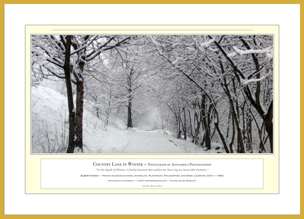 02.01.01.03.A — Landscapes — Country Lane in Winter — PhotoPrint™