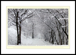 02.01.01.03.B — Landscapes — Country Lane in Winter — SoloPhoto™