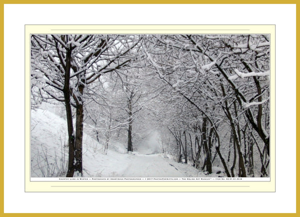 02.01.01.03.B — Landscapes — Country Lane in Winter — SoloPhoto™