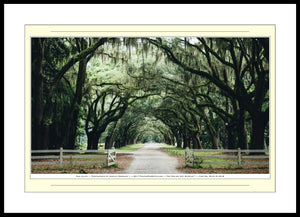 02.01.01.04.B — Landscapes — Oak Alley — SoloPhoto™