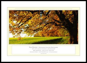 02.01.01.06.A — Landscapes — Fall Foliage — PhotoPrint™