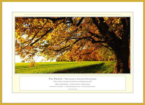 02.01.01.06.A — Landscapes — Fall Foliage — PhotoPrint™