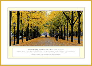 02.01.01.11.A — Landscapes — Strolling Amid Autumn Leaves — PhotoPrint™