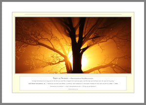 02.01.01.13.A — Landscapes — Tree at Sunset — PhotoPrint™