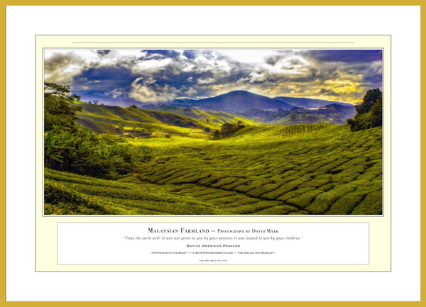 02.01.01.14.A — Landscapes — Malaysian Farmland — PhotoPrint™