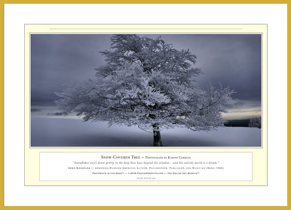 02.01.01.19.A — Landscapes — Snow-Covered Tree — PhotoPrint™