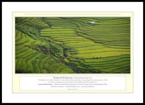 02.01.01.22.A — Landscapes — Terraced Farmland — PhotoPrint™