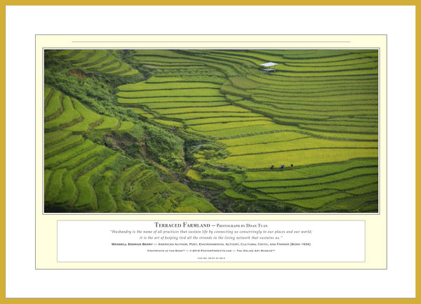 02.01.01.22.A — Landscapes — Terraced Farmland — PhotoPrint™