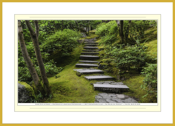 02.01.01.23.B — Landscapes — Stone Path in Forest — SoloPhoto™