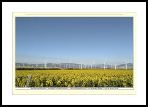 02.01.01.32.B — Landscapes — Wind and Sunflower Farm — SoloPhoto™