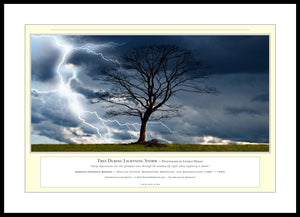 02.01.01.35.A — Landscapes — Tree During Lightning Storm — PhotoPrint™