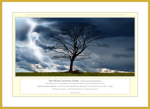 02.01.01.35.A — Landscapes — Tree During Lightning Storm — PhotoPrint™