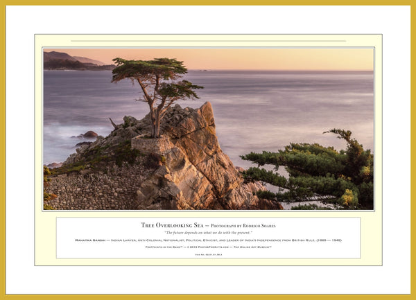 02.01.01.38.A — Landscapes — Tree Overlooking Sea — PhotoPrint™