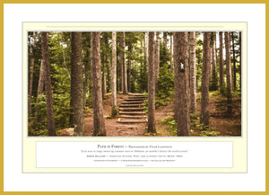 02.01.01.40.A — Landscapes — Path in Forest — PhotoPrint™