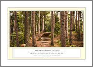 02.01.01.40.A — Landscapes — Path in Forest — PhotoPrint™