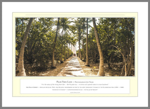 02.01.01.42.A — Landscapes — Palm Tree Lane — PhotoPrint™