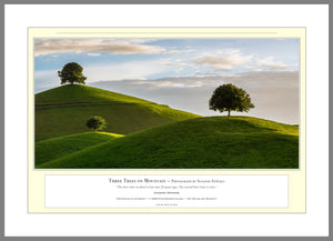 02.01.01.49.A — Landscapes — Three Trees on Mountain — PhotoPrint™