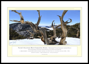 02.01.01.56.A — Landscapes — Nature‘s Sculpture, Mount Charleston, Nevada — PhotoPrint™