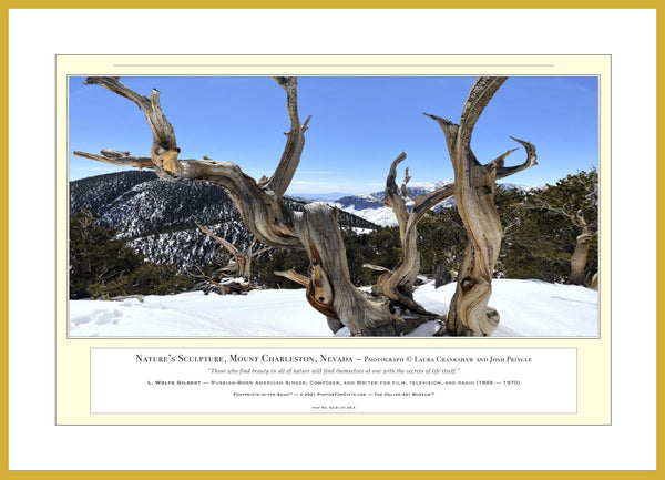 02.01.01.56.A — Landscapes — Nature‘s Sculpture, Mount Charleston, Nevada — PhotoPrint™