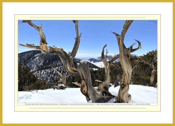 02.01.01.56.B — Landscapes — Nature‘s Sculpture, Mount Charleston, Nevada — SoloPhoto™