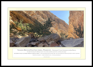 02.01.01.58.A — Landscapes — Tenacious Mountain Plant Life, Lowell, Washington — PhotoPrint™