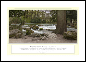 03.01.01.07.A — Water Scenes — Woodland Stream — PhotoPrint™