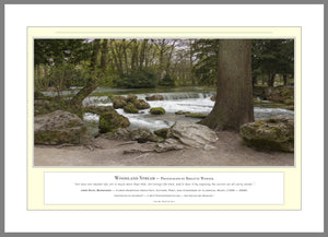 03.01.01.07.A — Water Scenes — Woodland Stream — PhotoPrint™