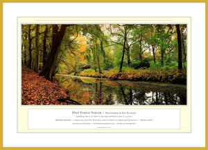 03.01.01.11.A — Water Scenes — Deep Forest Stream — PhotoPrint™