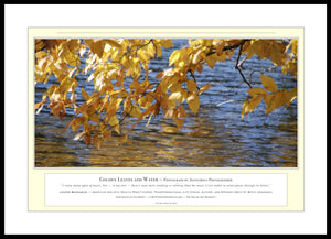 03.01.01.25.A — Water Scenes — Golden Leaves and Water — PhotoPrint™