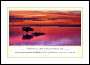 03.01.01.33.A — Water Scenes — Tree Reflection in Lake at Sunset — PhotoPrint™