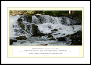 03.01.01.36.A — Water Scenes — Forest Waterfall — PhotoPrint™