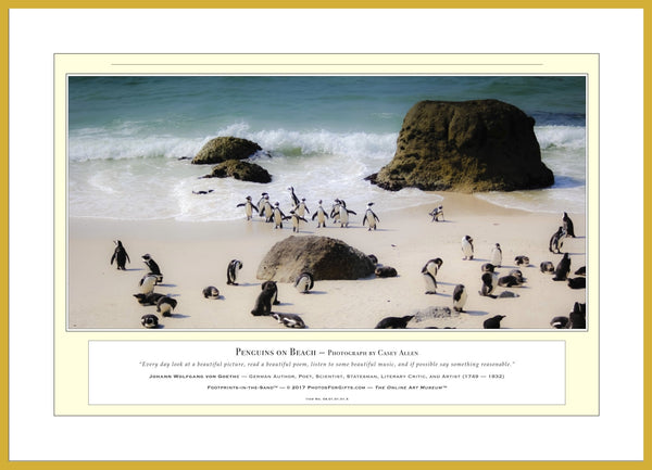 04.01.01.01.A — Animals — Penguins on Beach — PhotoPrint™