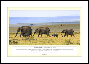 04.01.01.03.A — Animals — Elephant Family — PhotoPrint™