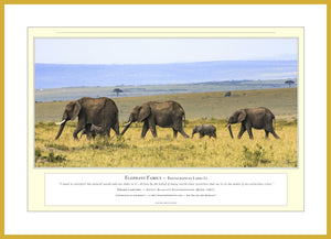 04.01.01.03.A — Animals — Elephant Family — PhotoPrint™