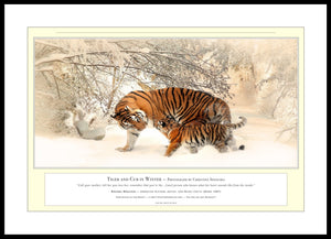 04.01.01.04.A — Animals — Tiger and Cub in Winter — PhotoPrint™