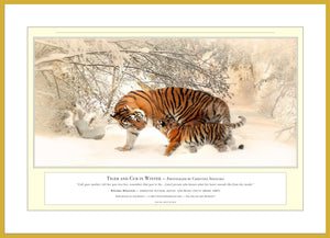 04.01.01.04.A — Animals — Tiger and Cub in Winter — PhotoPrint™