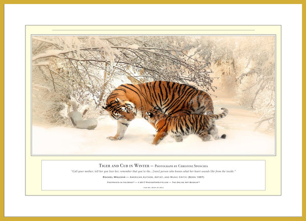 04.01.01.04.A — Animals — Tiger and Cub in Winter — PhotoPrint™