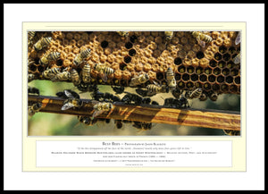 04.01.01.10.A — Animals — Busy Bees — PhotoPrint™