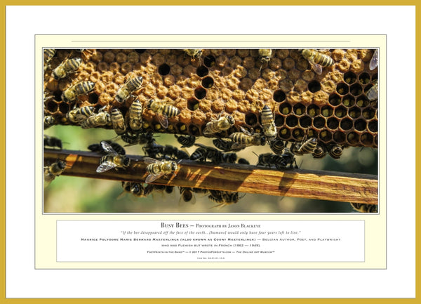 04.01.01.10.A — Animals — Busy Bees — PhotoPrint™