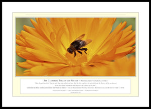 04.01.01.13.A — Animals — Bee Gathering Nectar and Pollen — PhotoPrint™