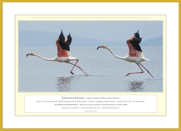 04.01.01.15.A — Animals — Longneck Cranes — PhotoPrint™