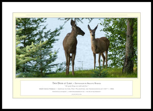 04.01.01.20.A — Animals — Two Deer at Lake — PhotoPrint™