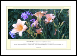 06.01.01.04.A — Flowers and Gardens — Spring Flowers — PhotoPrint™