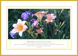 06.01.01.04.A — Flowers and Gardens — Spring Flowers — PhotoPrint™