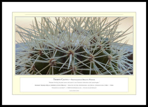 06.01.01.06.A — Flowers and Gardens — Thorny Cactus — PhotoPrint™