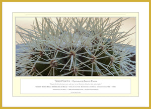 06.01.01.06.A — Flowers and Gardens — Thorny Cactus — PhotoPrint™