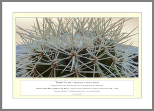 06.01.01.06.A — Flowers and Gardens — Thorny Cactus — PhotoPrint™