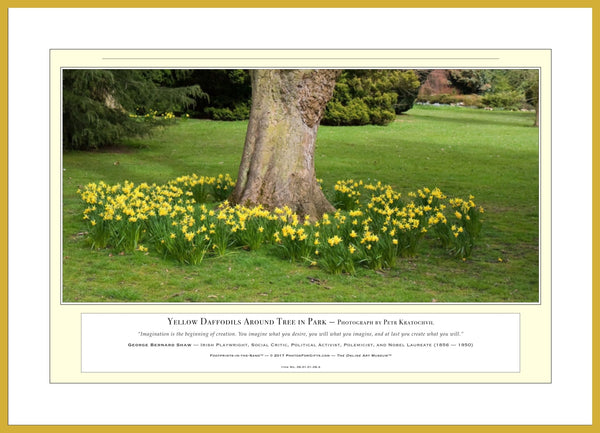 06.01.01.08.A — Flowers and Gardens — Yellow Daffodils Around Tree in Park — PhotoPrint™