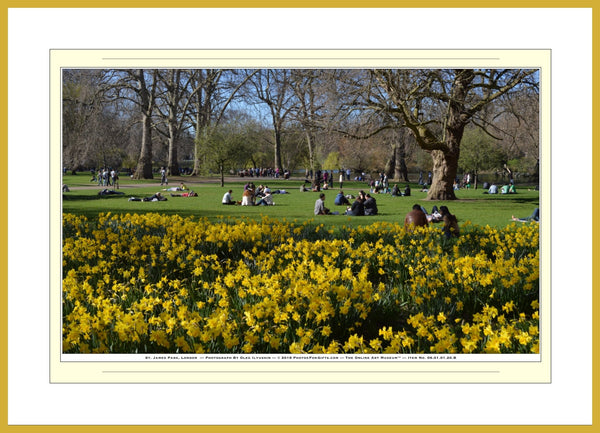 06.01.01.20.B — Flowers and Gardens — St. James Park, London — SoloPhoto™